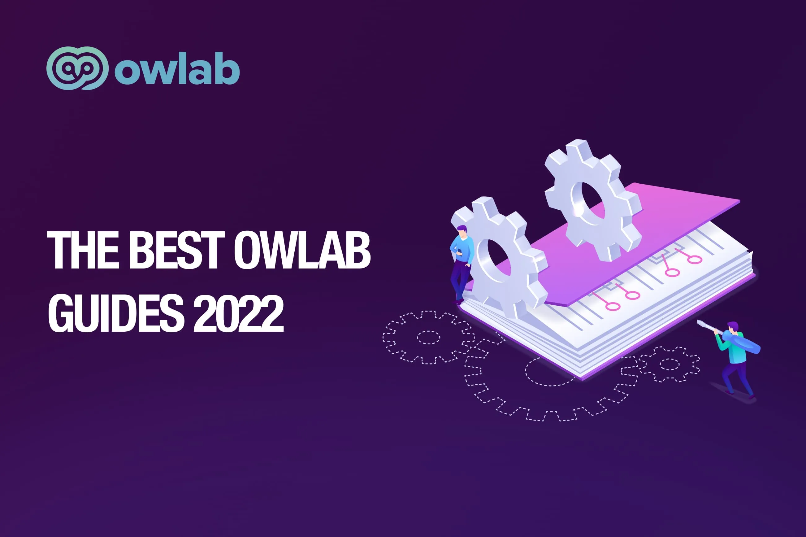 The Best Owlab Guides 2022